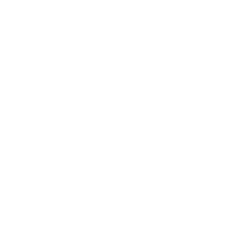 Mirra & Co